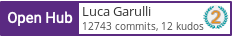 Open Hub profile for Luca Garulli