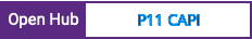 Open Hub project report for P11 CAPI