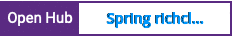 Open Hub project report for Spring richclient