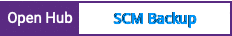 Open Hub project report for SCM Backup