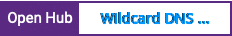 Open Hub project report for Wildcard DNS Server